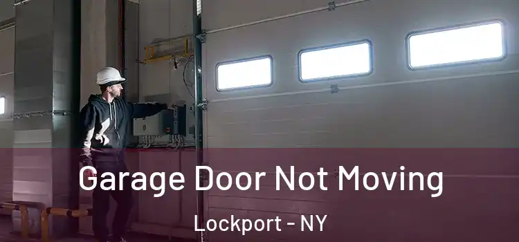  Garage Door Not Moving Lockport - NY