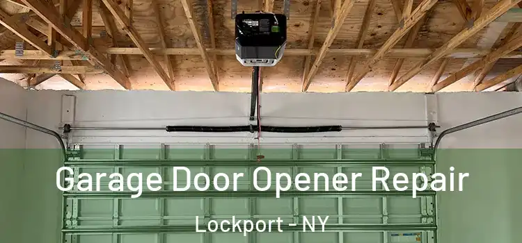  Garage Door Opener Repair Lockport - NY