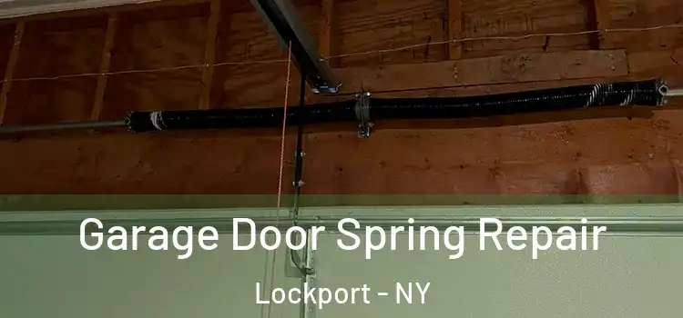  Garage Door Spring Repair Lockport - NY