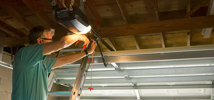 Garage Door Opener Sales and Installation Lockport