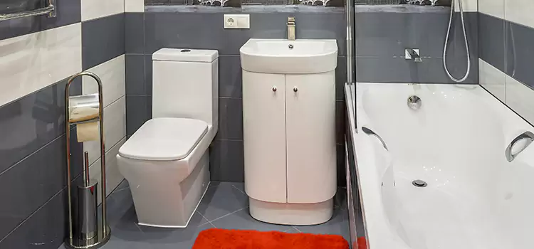 Hansgrohe Shaving Mirror Lockport