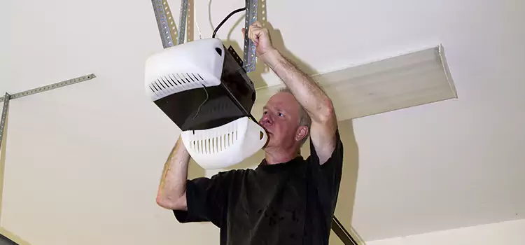 Garage Door Opener Service Lockport