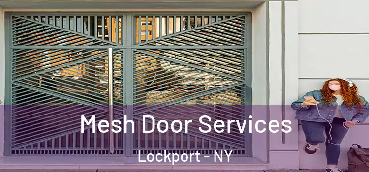 Mesh Door Services Lockport - NY